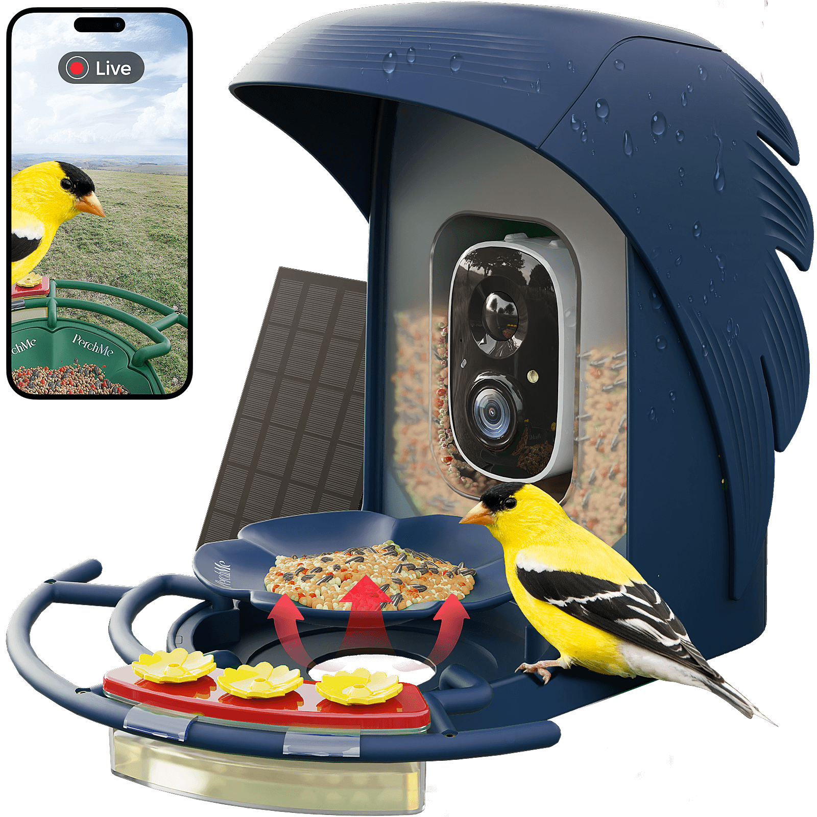 PerchMe Smart Bird Feeder with Camera,AI Recognition,Solar Powered,Best Gift for Bird Lovers