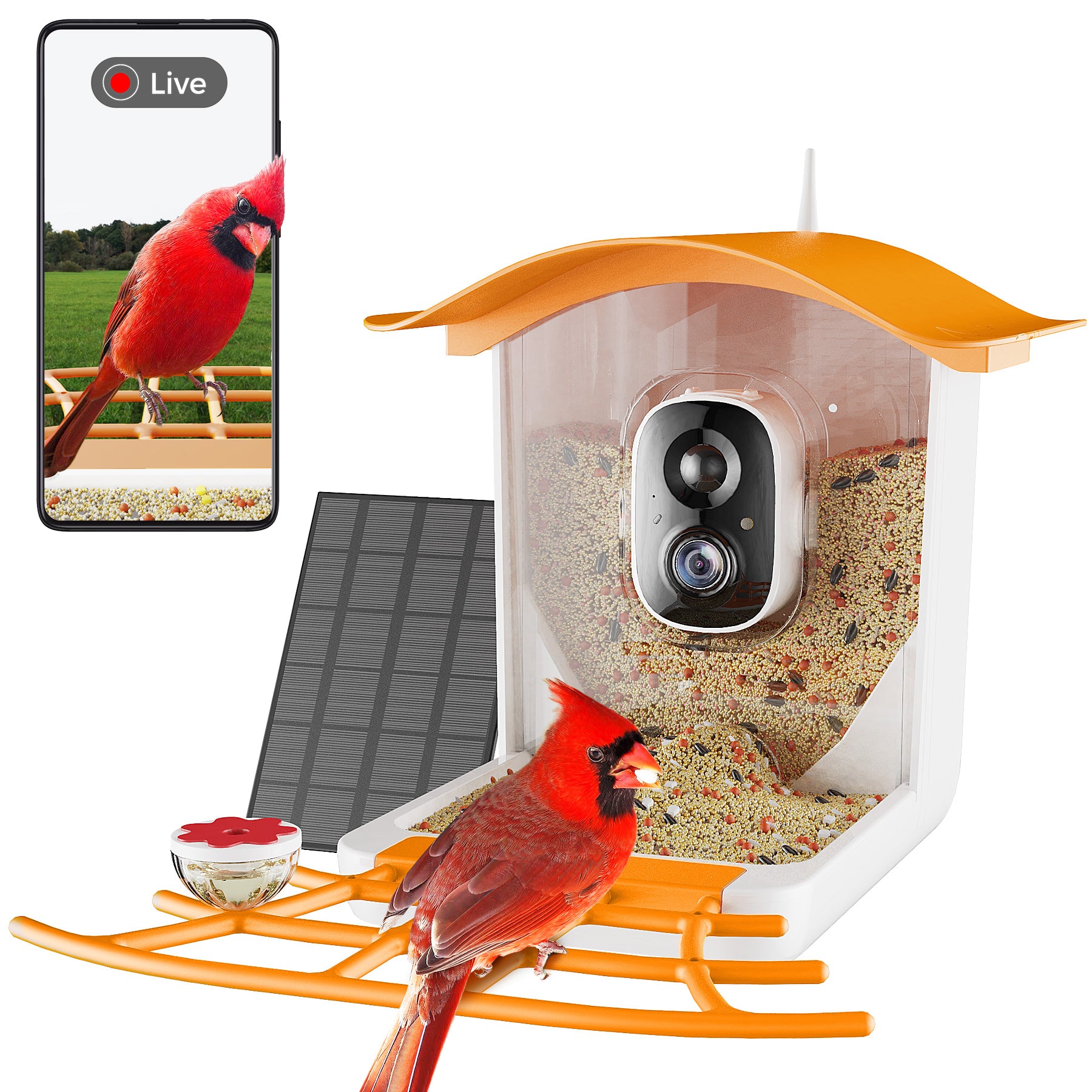 PerchMe Smart Bird Feeder Camera Wireless, Solar Powered, AI Recognition, Auto Capture & App Notify