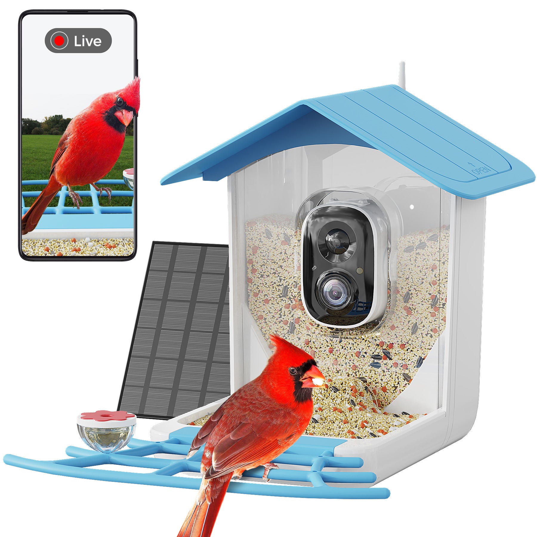 PerchMe Smart Bird Feeder Camera Wireless, Solar Powered, AI Recognition, Auto Capture & App Notify