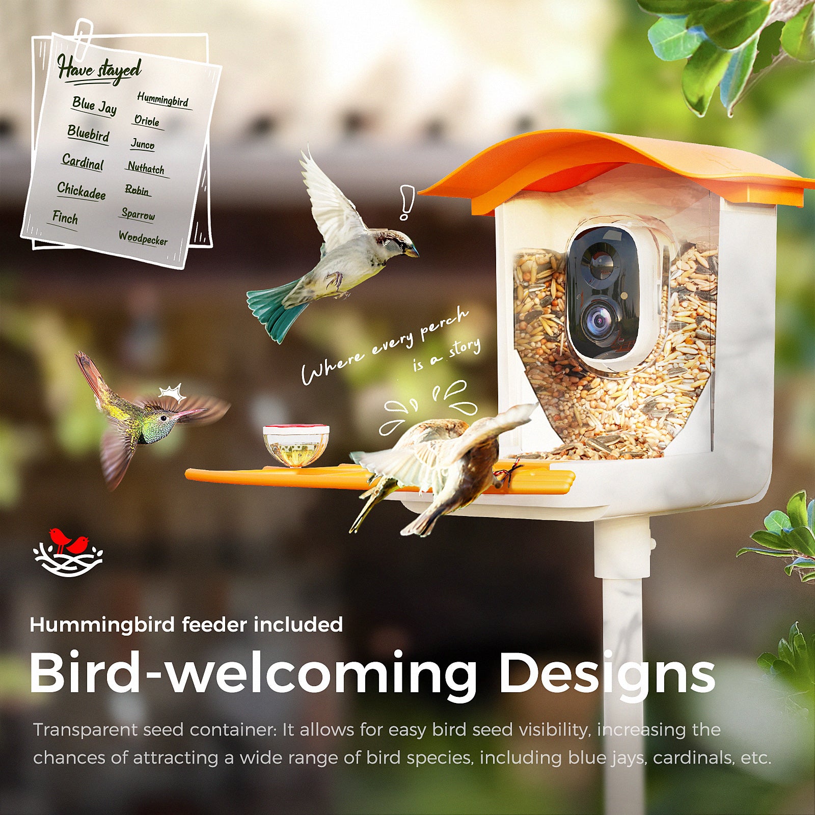 PerchMe Smart Bird Feeder with Camera Solar Powered, AI Recognition, Auto Capture & App Notify