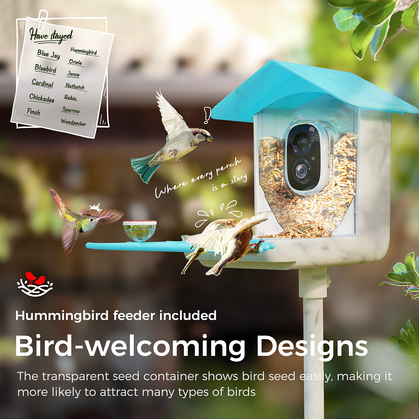 PerchMe Smart Bird Feeder with Camera Solar Powered, AI Recognition, Auto Capture & App Notify