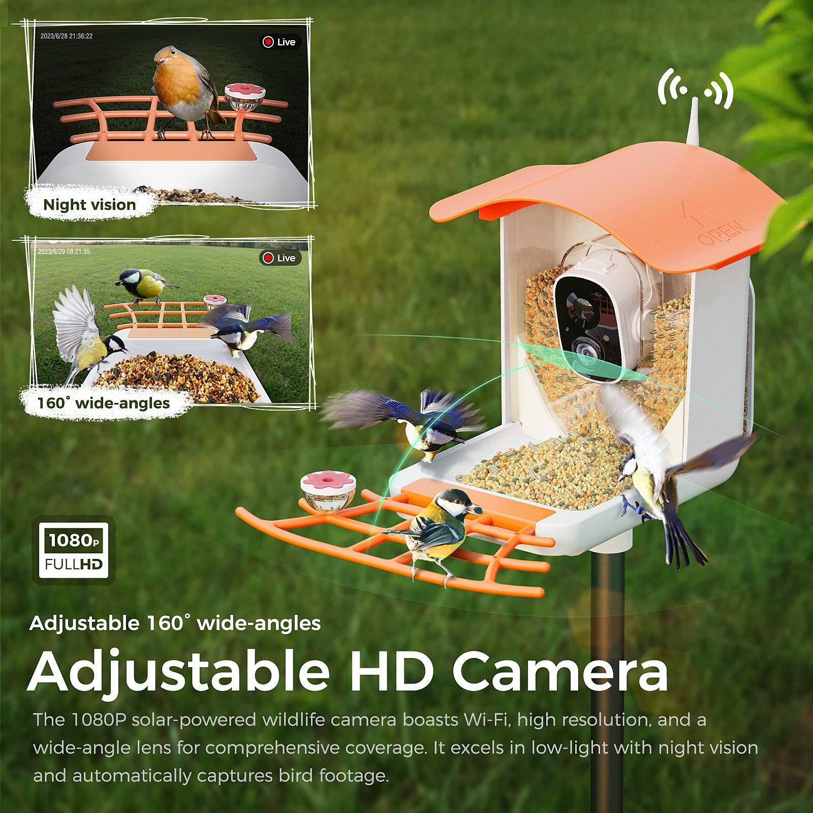 PerchMe Smart Bird Feeder with Camera Solar Powered, AI Recognition, Auto Capture & App Notify