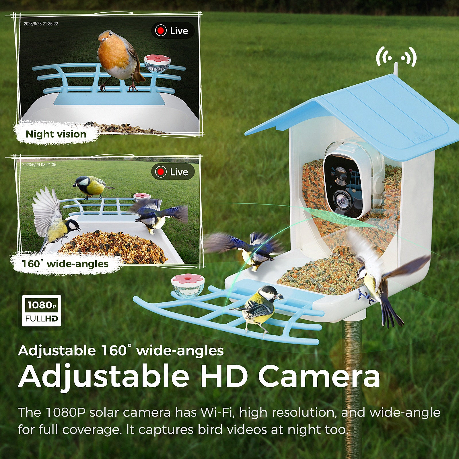 PerchMe Smart Bird Feeder with Camera Solar Powered, AI Recognition, Auto Capture & App Notify