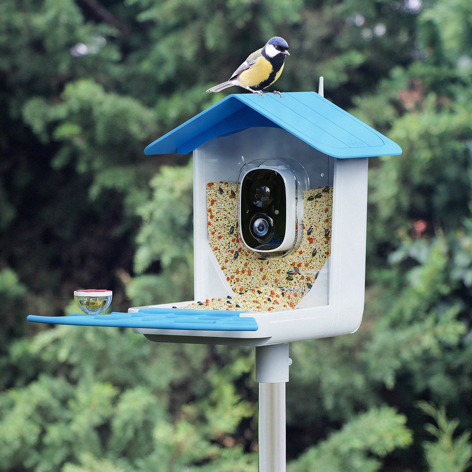 PerchMe Smart Bird Feeder Camera Wireless, Solar Powered, AI Recognition, Auto Capture & App Notify