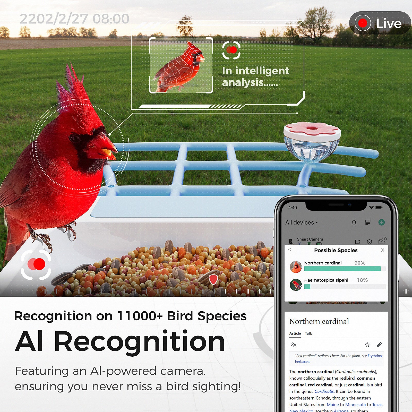 PerchMe Smart Bird Feeder with Camera Solar Powered, AI Recognition, Auto Capture & App Notify