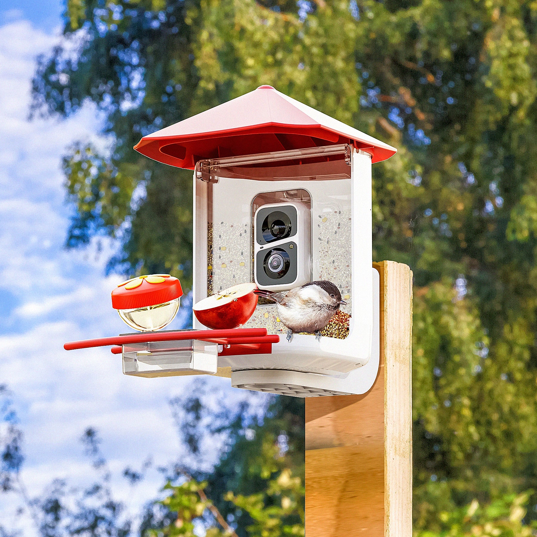 PerchMe Smart Bird Feeder with AI Camera & Solar Panel Vermillion & Azure Canopy