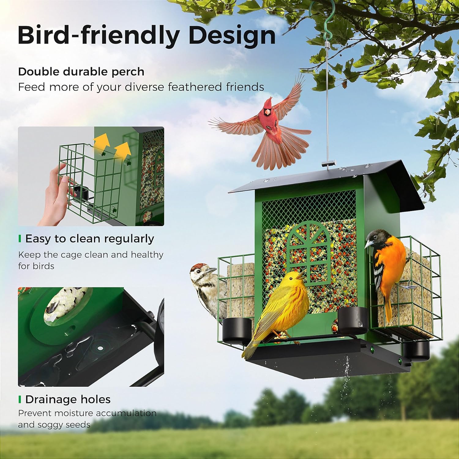 Hanging Bird Feeders for Outdoors with Double Suet Cage Cake, Large Capacity, Durable & Weatherproof, Easy to Clean & Refill