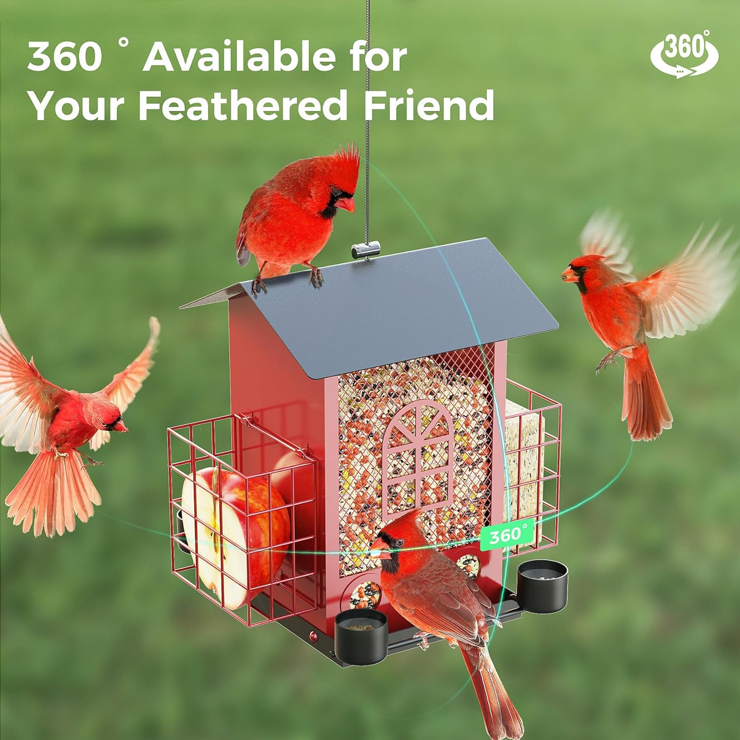 Hanging Bird Feeders for Outdoors with Double Suet Cage Cake, Large Capacity, Durable & Weatherproof, Easy to Clean & Refill