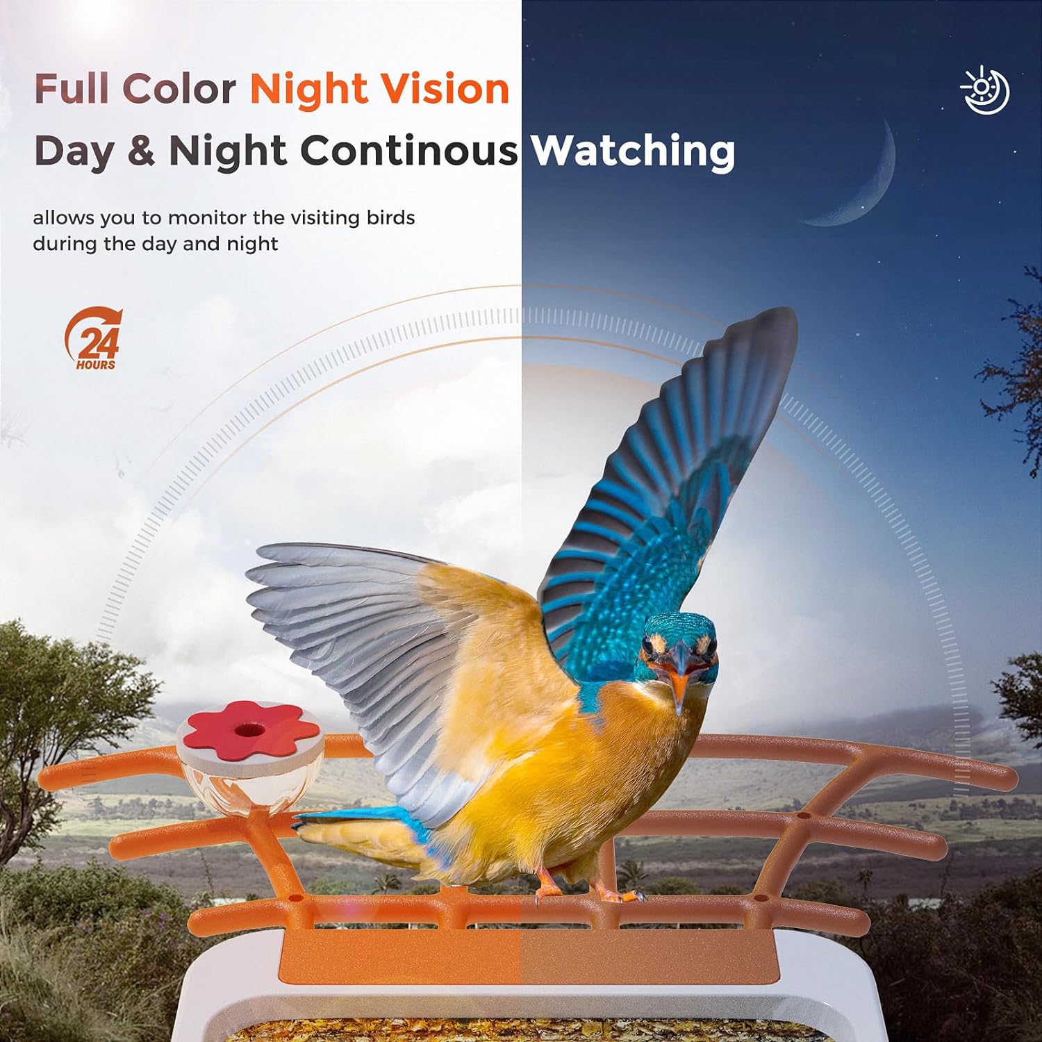 PerchMe Smart Bird Feeder Camera Wireless, Solar Powered, AI Recognition, Auto Capture & App Notify