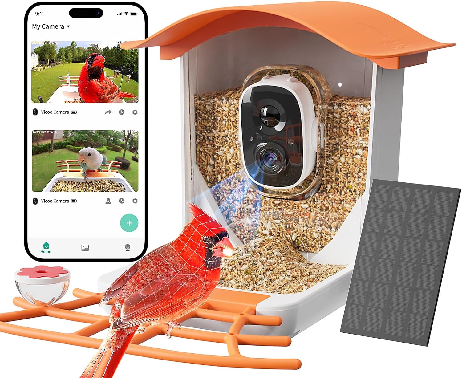 Smart Bird Feeder Camera & Charming Wind Chime Glass Hummingbird Feeder Combo