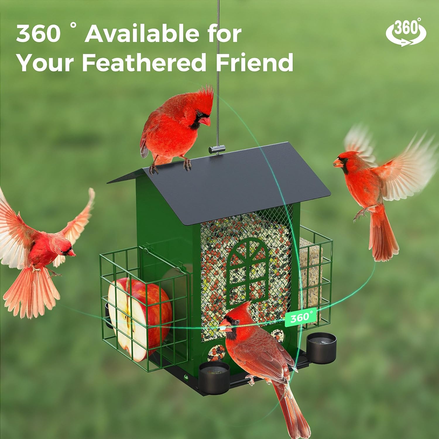 Hanging Bird Feeders for Outdoors with Double Suet Cage Cake, Large Capacity, Durable & Weatherproof, Easy to Clean & Refill