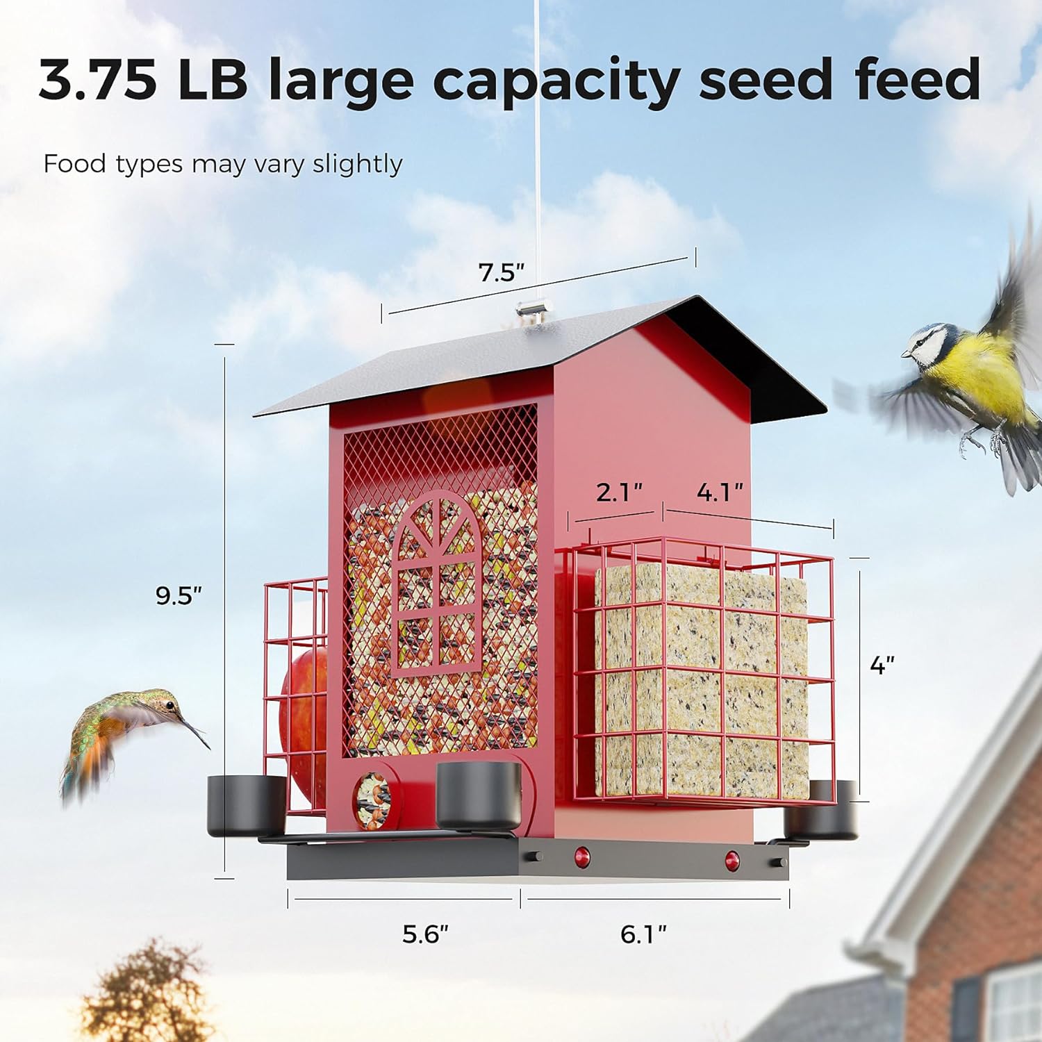 Hanging Bird Feeders for Outdoors with Double Suet Cage Cake, Large Capacity, Durable & Weatherproof, Easy to Clean & Refill