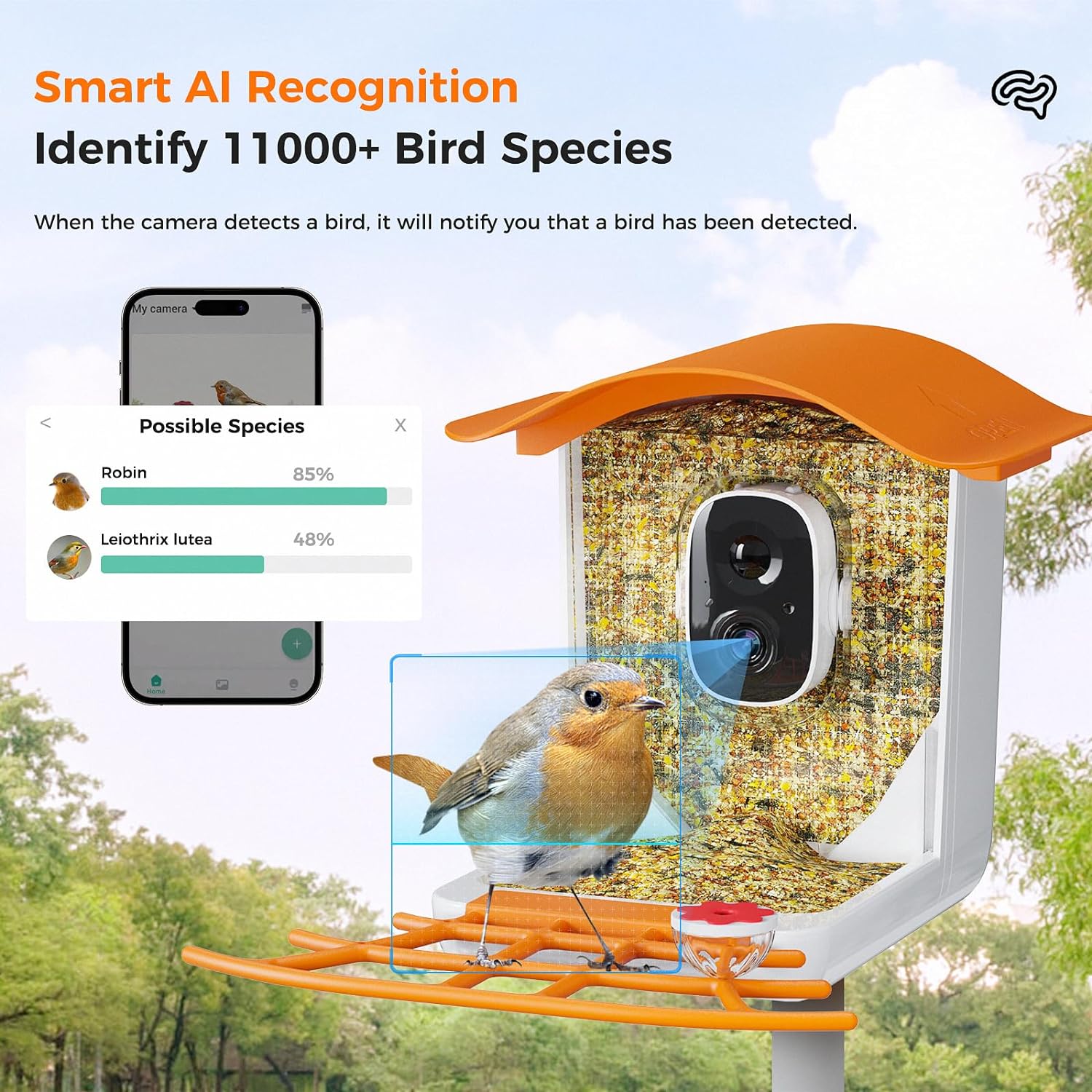 PerchMe Smart Bird Feeder Camera Wireless, Solar Powered, AI Recognition, Auto Capture & App Notify