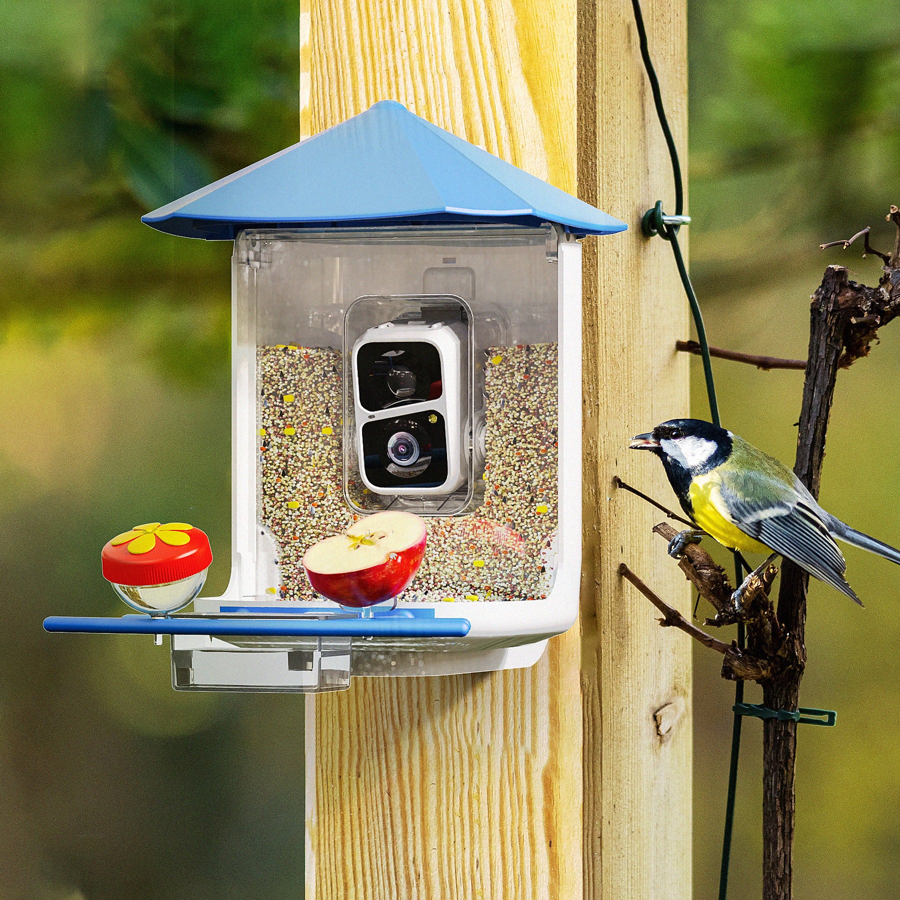 PerchMe Smart Bird Feeder with AI Camera & Solar Panel Vermillion & Azure Canopy