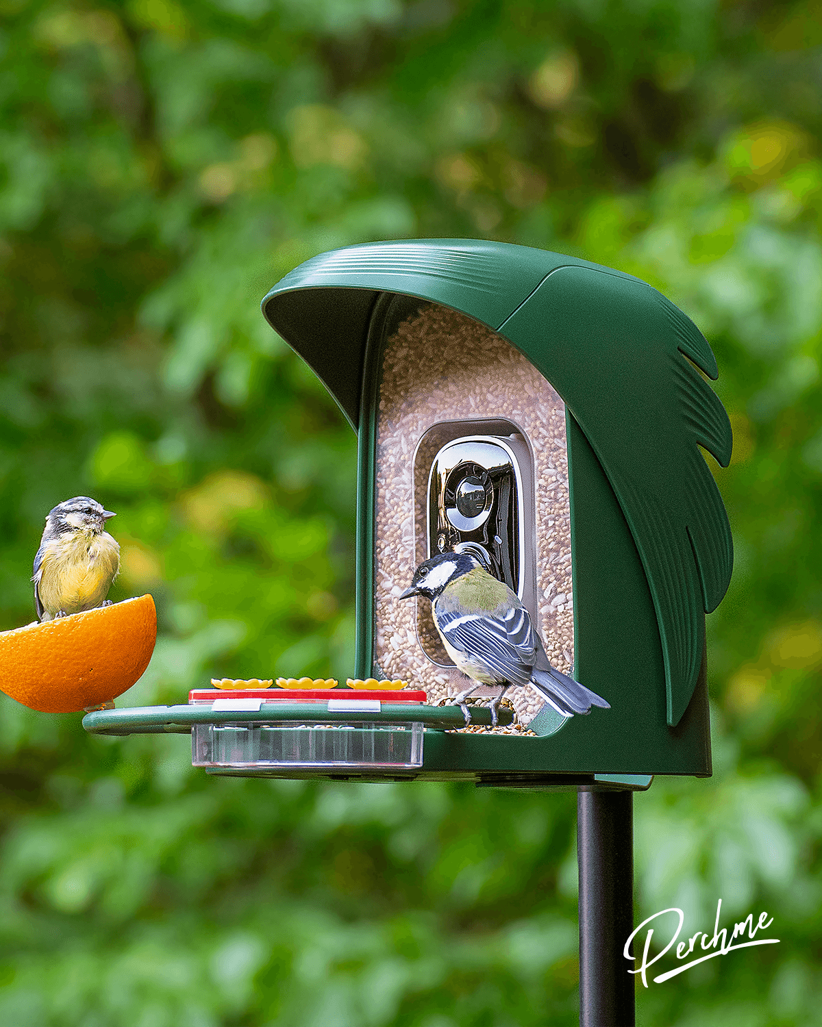 PerchMe Smart Bird Feeder with Camera, Solar Powered, AI Recognition,Great Gift for Bird Lovers