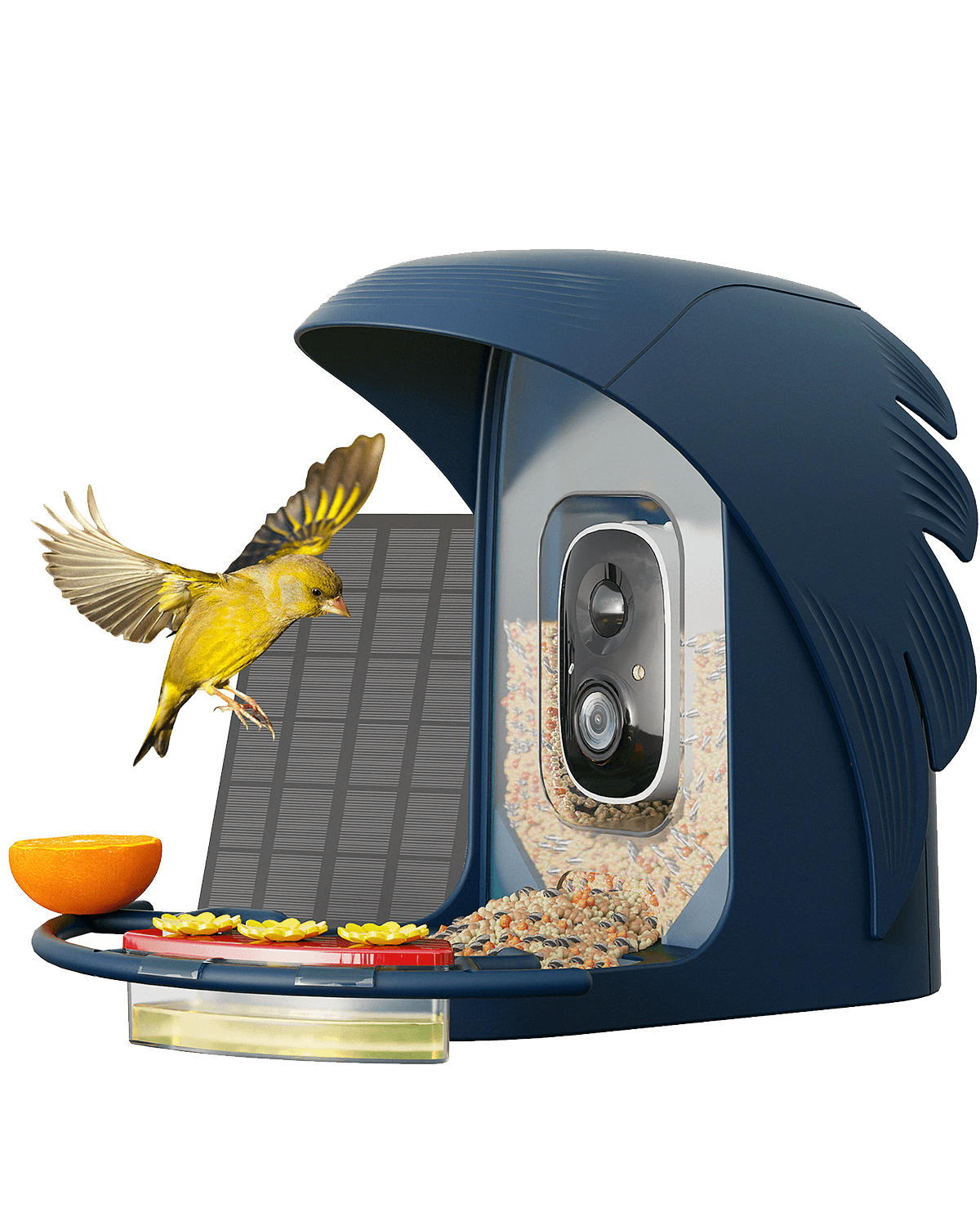 PerchMe Smart Bird Feeder with Camera, Solar Powered, AI Recognition,Great Gift for Bird Lovers